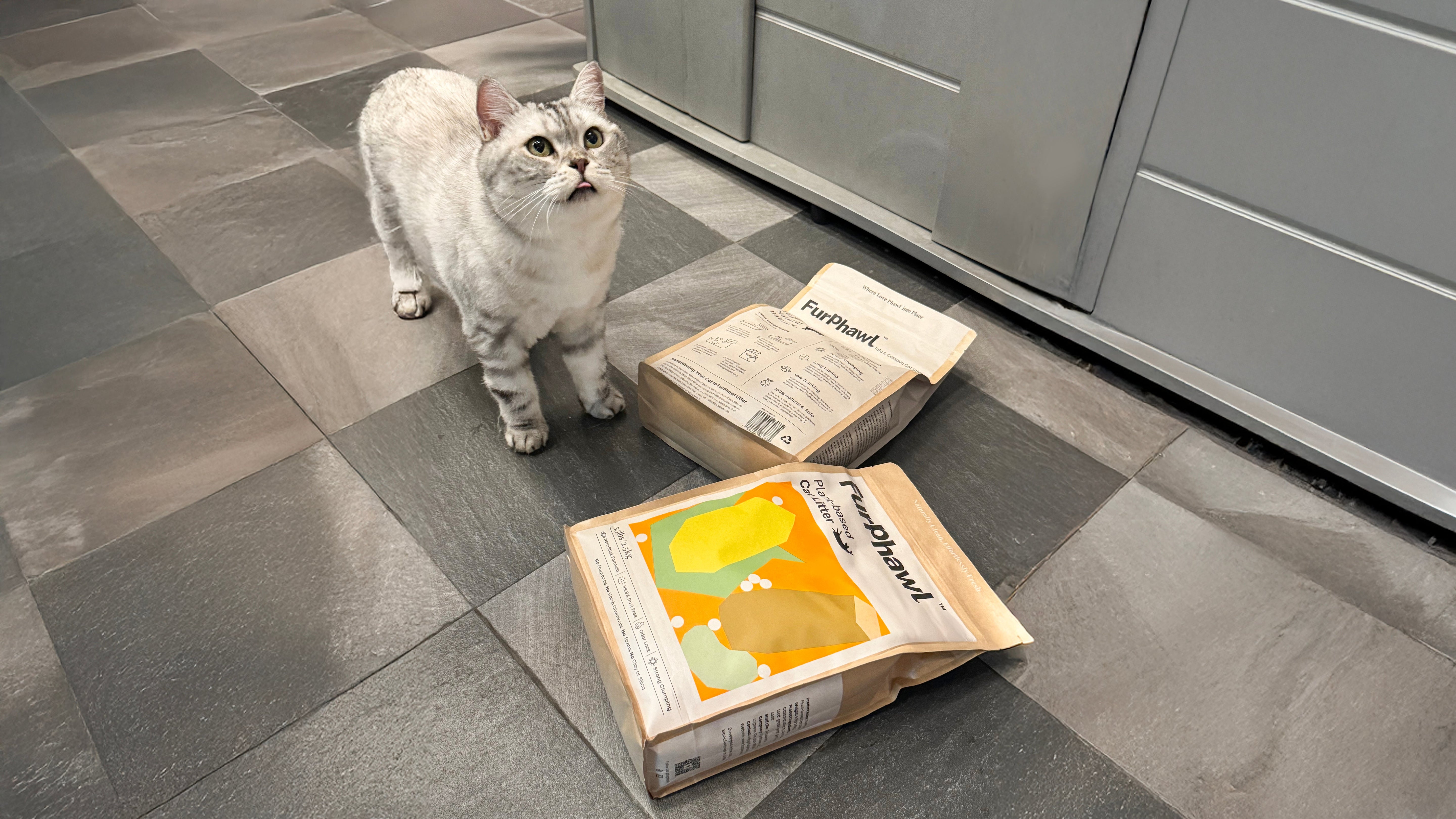 The Real Cost of Cheap Litter: Waste, Odor & Vet Bills