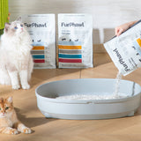 Soft Switch: Transition Bundle